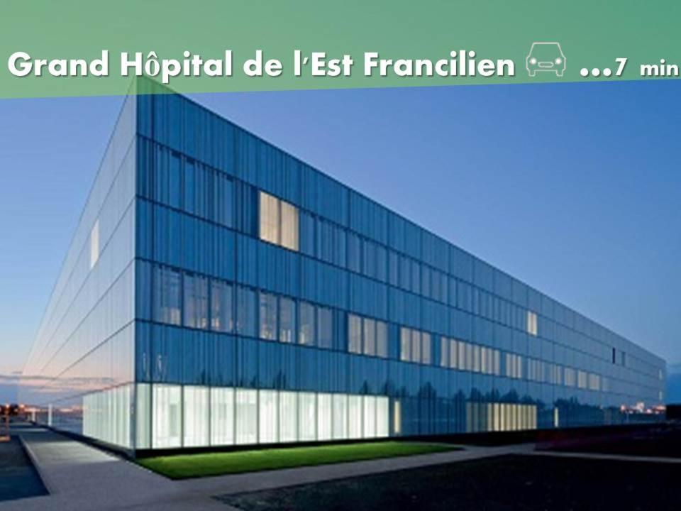 Appartement De Charme Disneyland Paris - Nidouest Chanteloup-en-Brie Luaran gambar